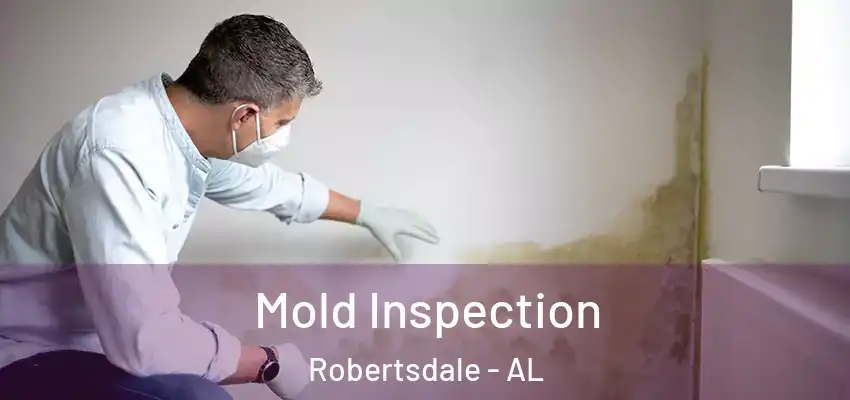  Mold Inspection Robertsdale - AL