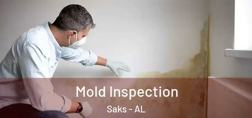  Mold Inspection Saks - AL