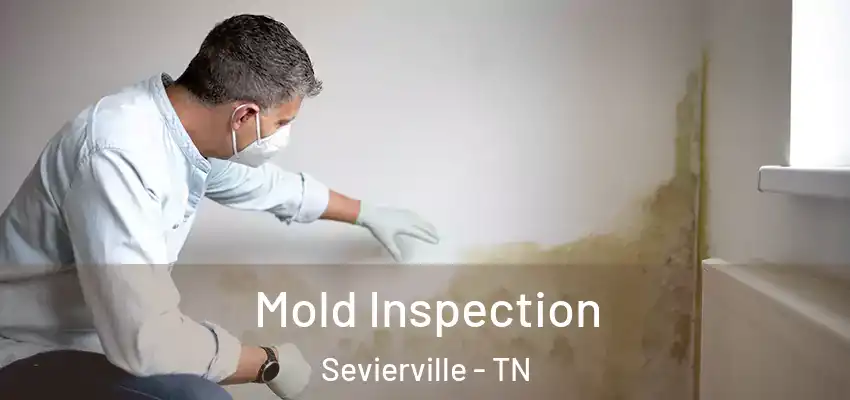  Mold Inspection Sevierville - TN