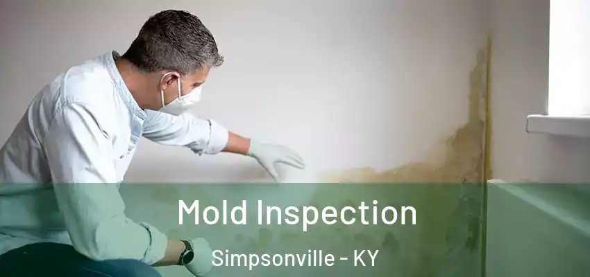 Mold Inspection Simpsonville - KY