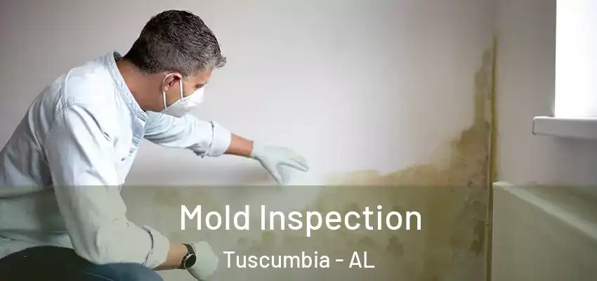 Mold Inspection Tuscumbia - AL
