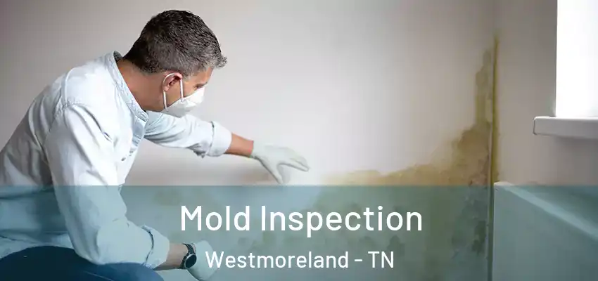  Mold Inspection Westmoreland - TN