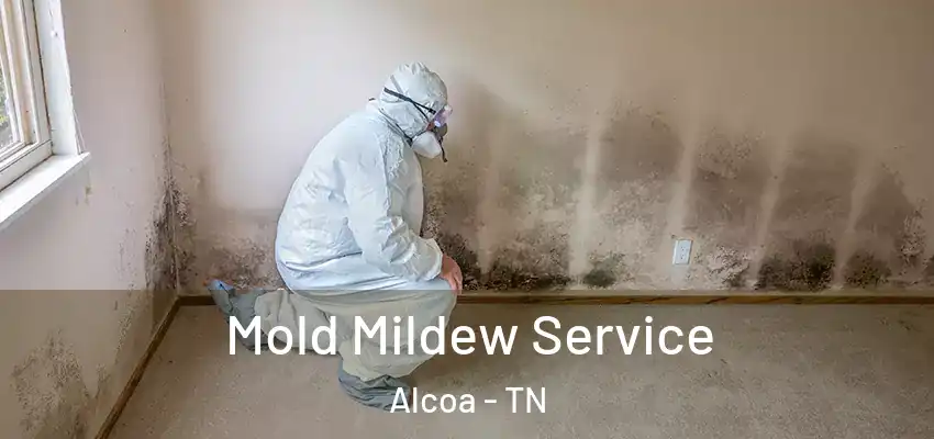  Mold Mildew Service Alcoa - TN