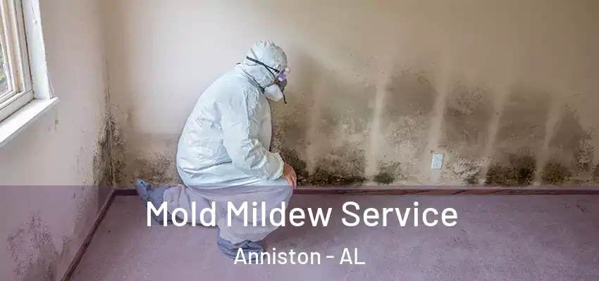  Mold Mildew Service Anniston - AL