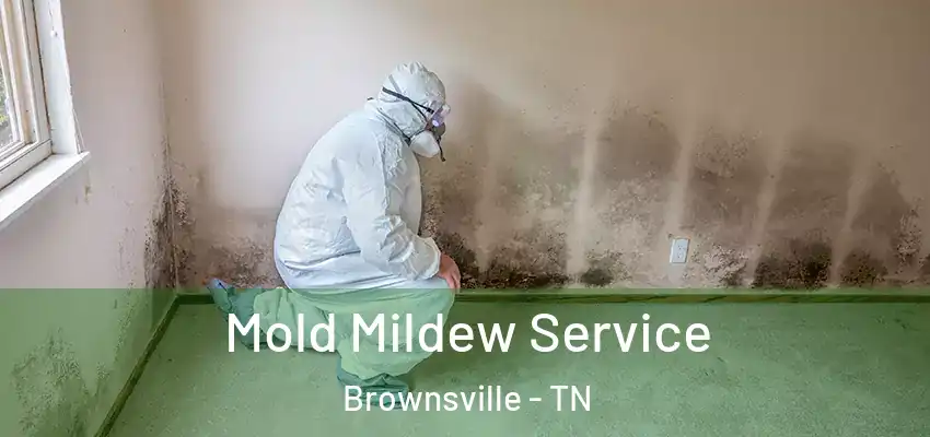 Mold Mildew Service Brownsville - TN