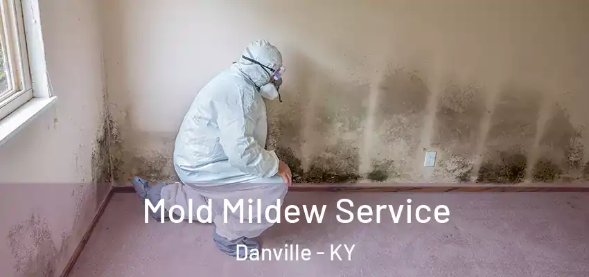  Mold Mildew Service Danville - KY