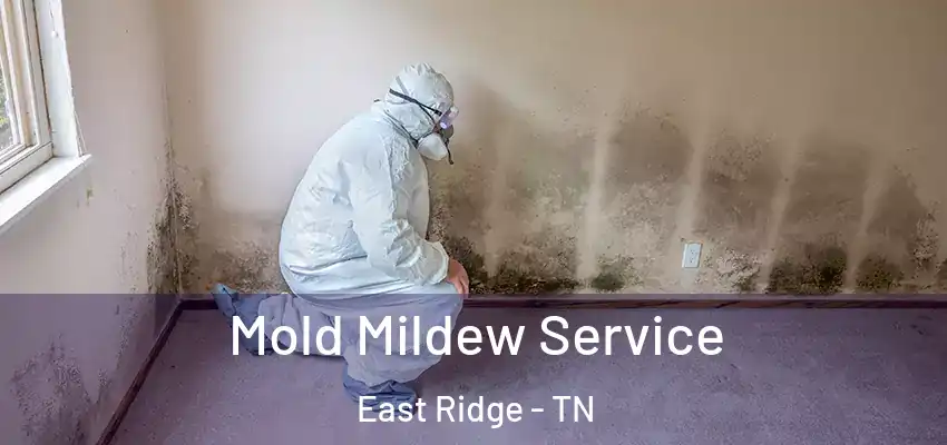 Mold Mildew Service East Ridge - TN