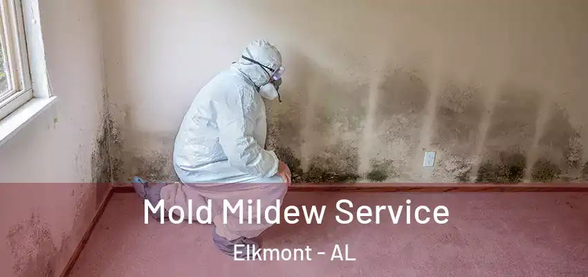  Mold Mildew Service Elkmont - AL