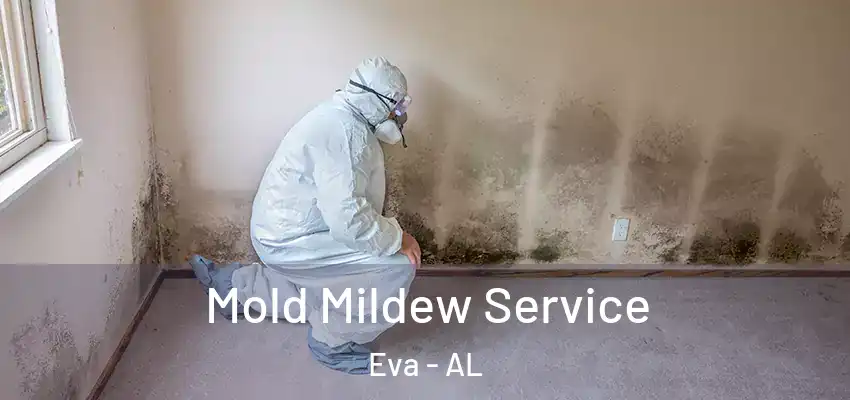 Mold Mildew Service Eva - AL