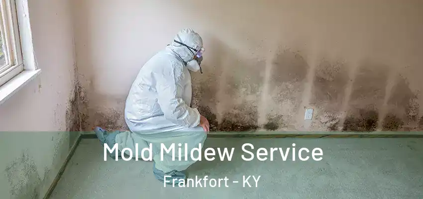 Mold Mildew Service Frankfort - KY