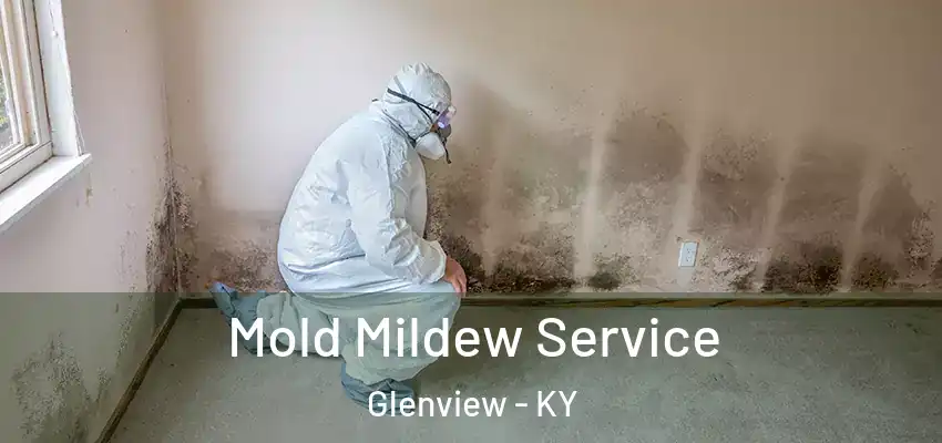 Mold Mildew Service Glenview - KY