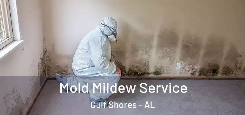  Mold Mildew Service Gulf Shores - AL