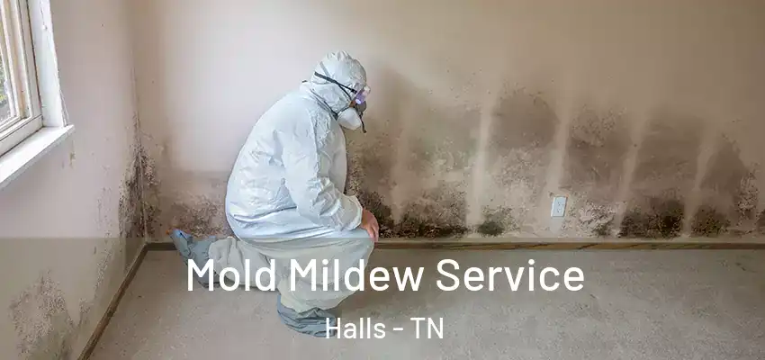  Mold Mildew Service Halls - TN