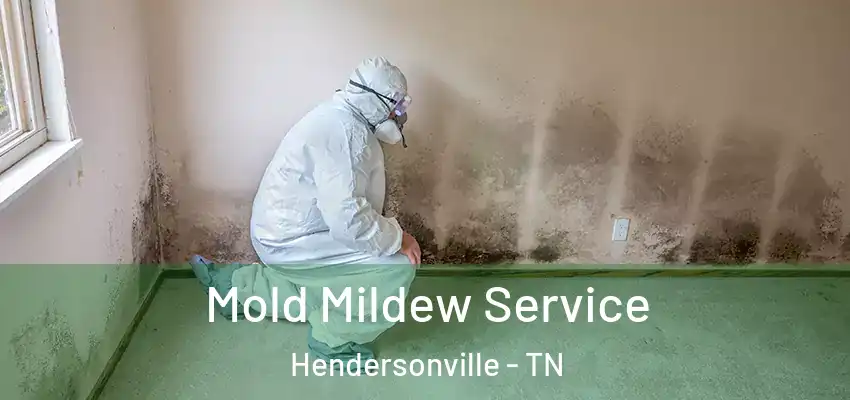 Mold Mildew Service Hendersonville - TN