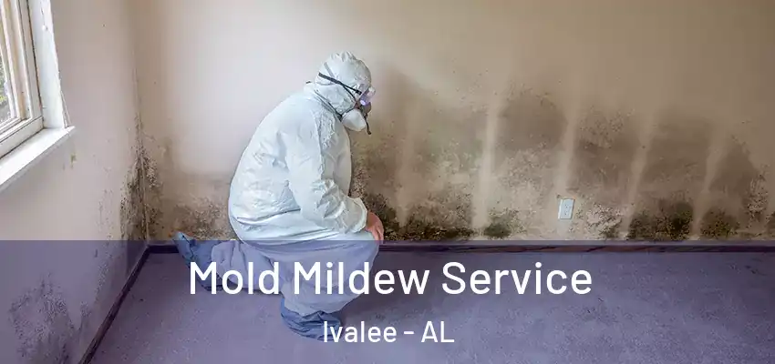  Mold Mildew Service Ivalee - AL