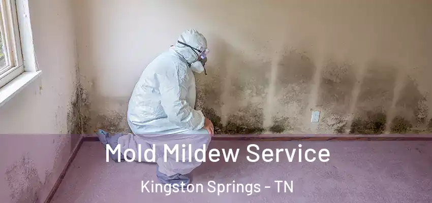  Mold Mildew Service Kingston Springs - TN