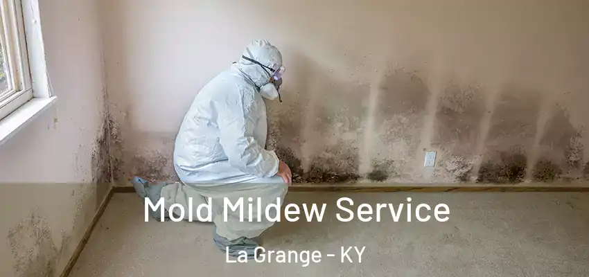 Mold Mildew Service La Grange - KY