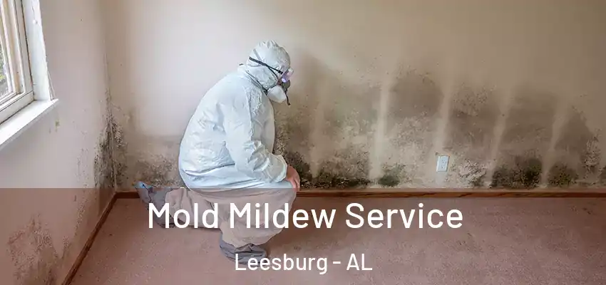  Mold Mildew Service Leesburg - AL