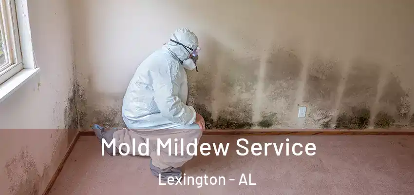 Mold Mildew Service Lexington - AL