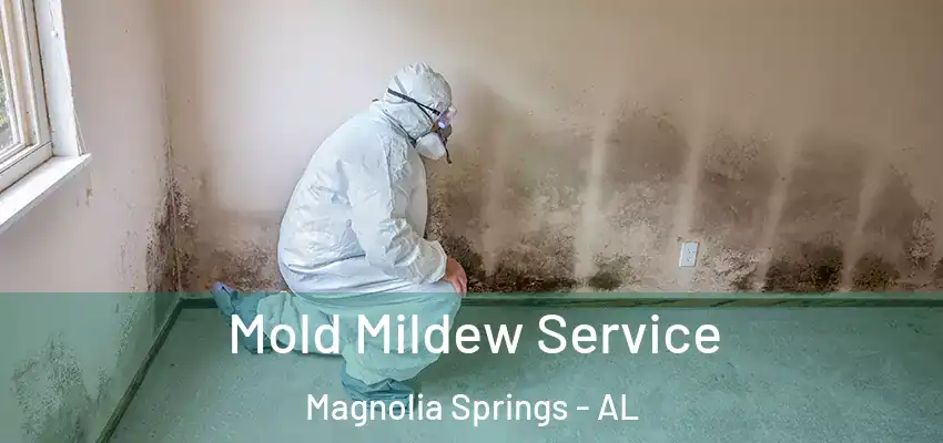  Mold Mildew Service Magnolia Springs - AL