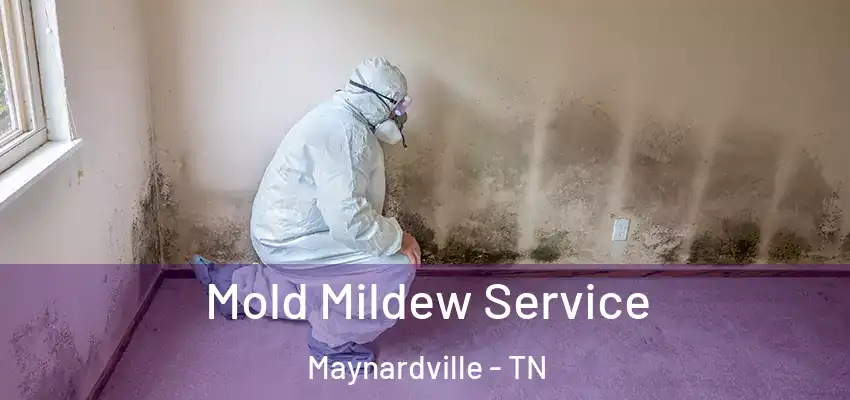  Mold Mildew Service Maynardville - TN