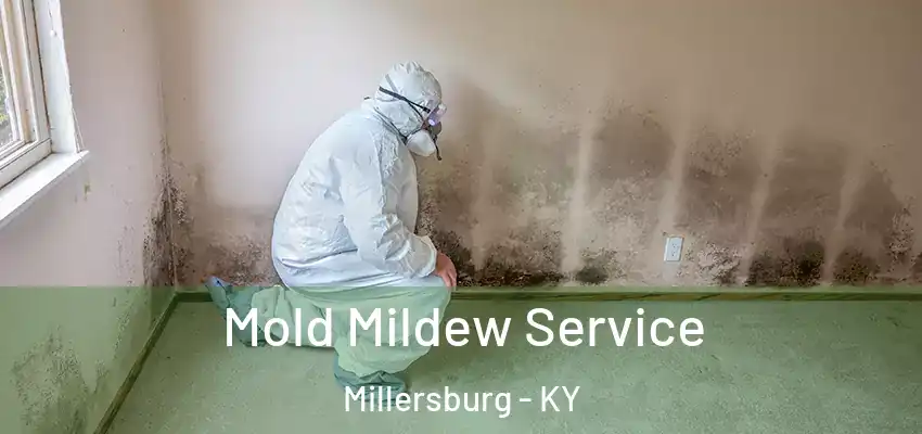  Mold Mildew Service Millersburg - KY