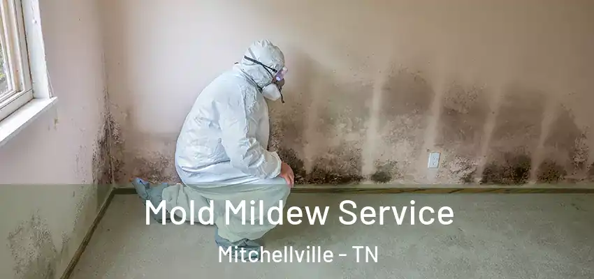  Mold Mildew Service Mitchellville - TN