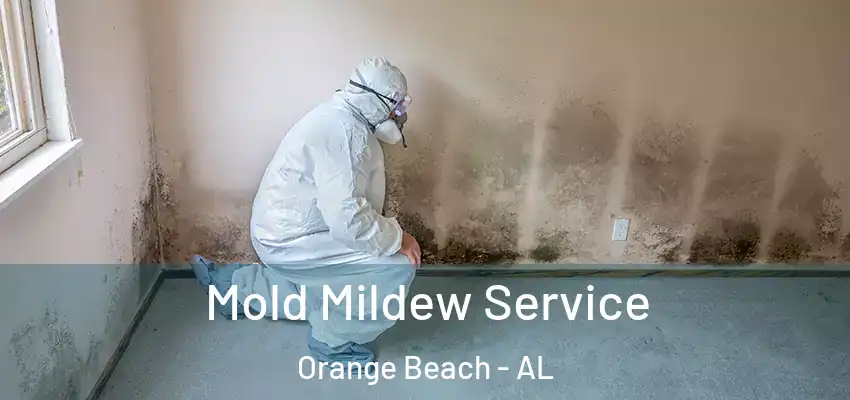 Mold Mildew Service Orange Beach - AL