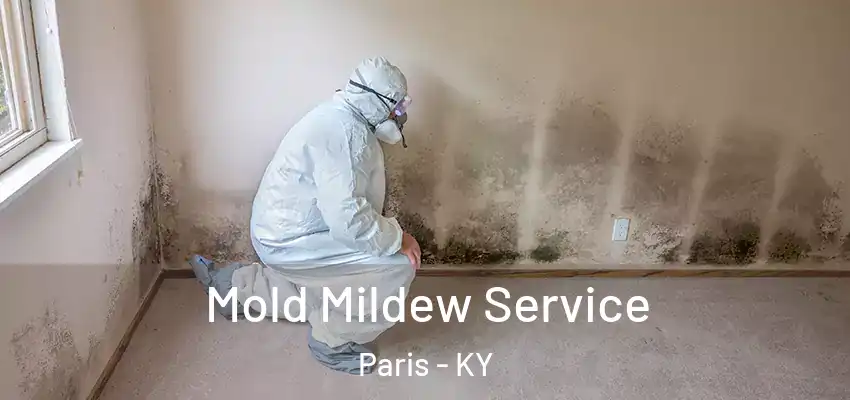  Mold Mildew Service Paris - KY