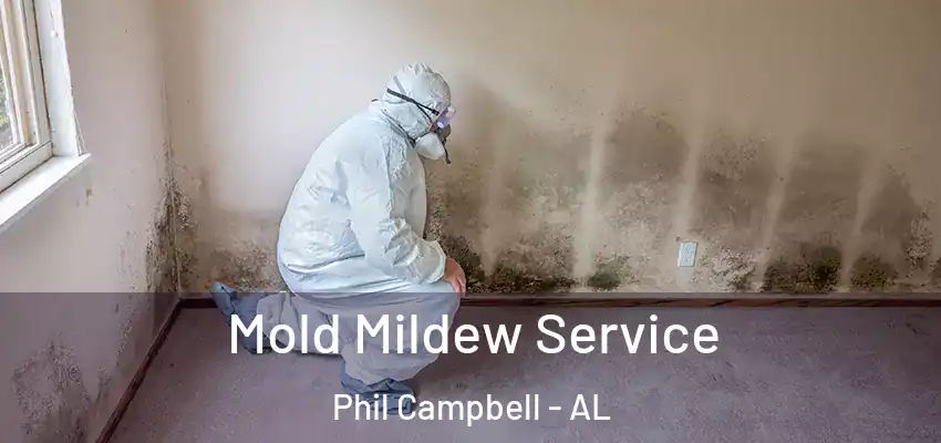  Mold Mildew Service Phil Campbell - AL
