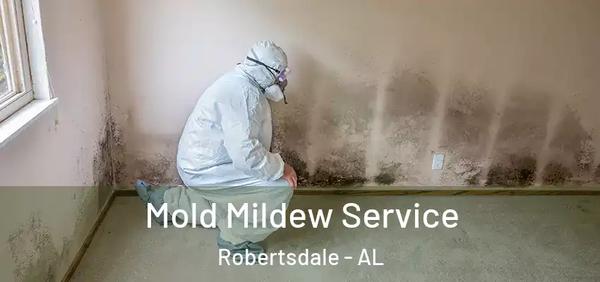  Mold Mildew Service Robertsdale - AL