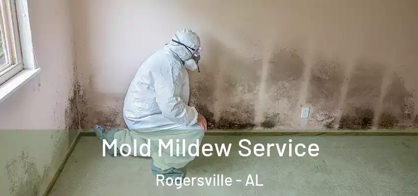  Mold Mildew Service Rogersville - AL