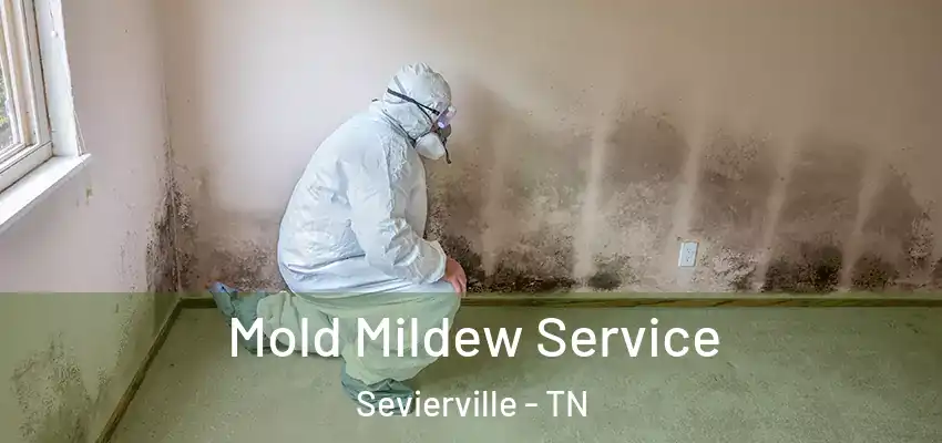  Mold Mildew Service Sevierville - TN