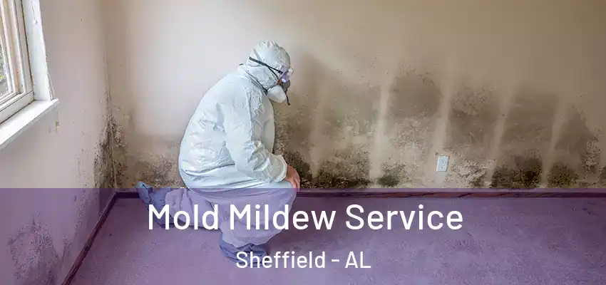  Mold Mildew Service Sheffield - AL