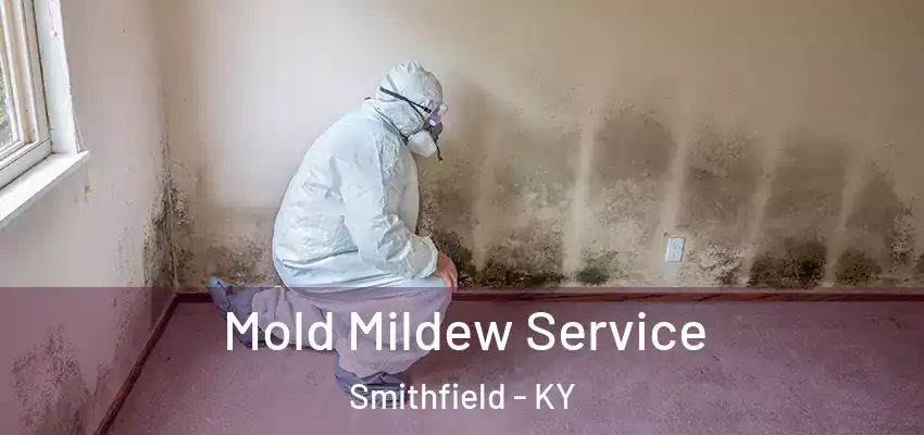  Mold Mildew Service Smithfield - KY