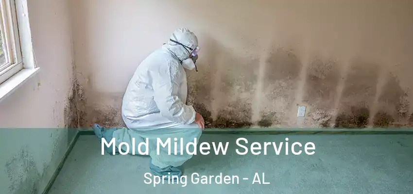  Mold Mildew Service Spring Garden - AL