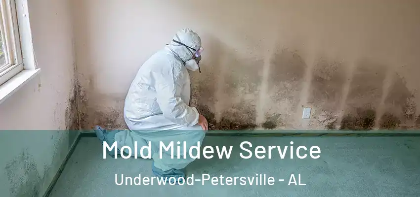 Mold Mildew Service Underwood-Petersville - AL