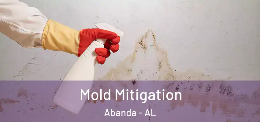  Mold Mitigation Abanda - AL