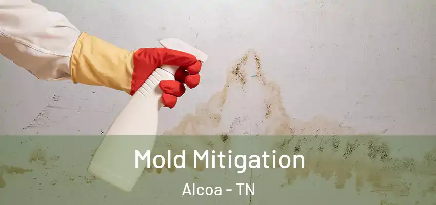 Mold Mitigation Alcoa - TN