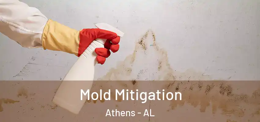  Mold Mitigation Athens - AL