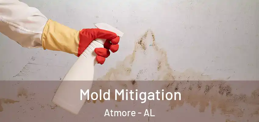 Mold Mitigation Atmore - AL