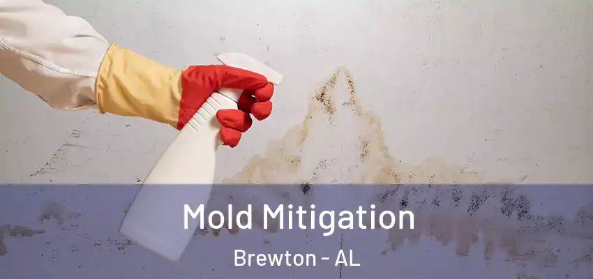 Mold Mitigation Brewton - AL