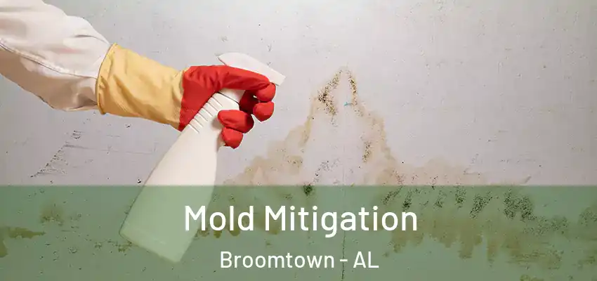 Mold Mitigation Broomtown - AL