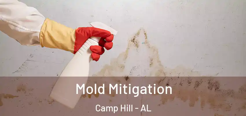 Mold Mitigation Camp Hill - AL