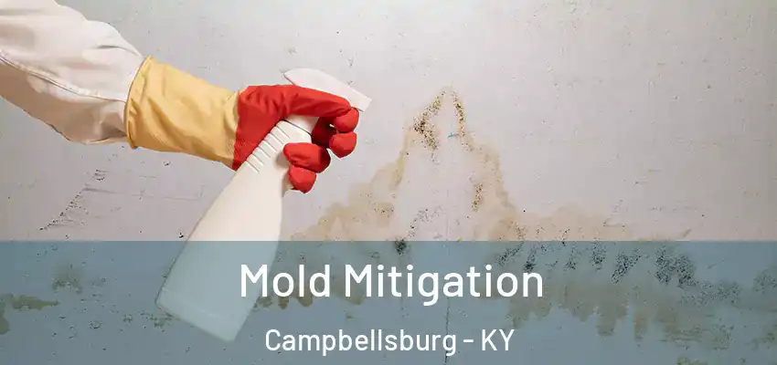 Mold Mitigation Campbellsburg - KY