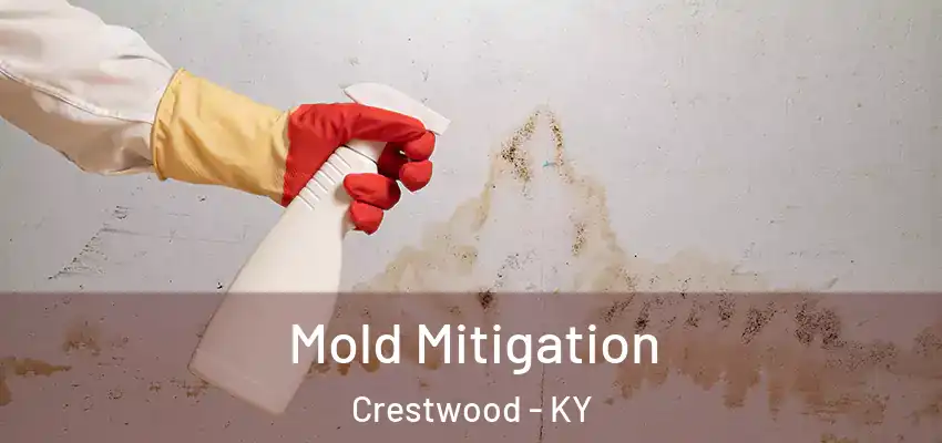 Mold Mitigation Crestwood - KY