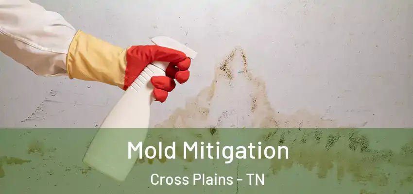 Mold Mitigation Cross Plains - TN