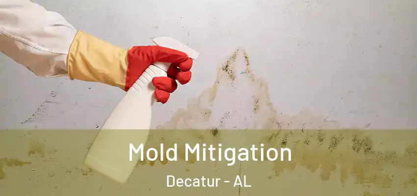 Mold Mitigation Decatur - AL