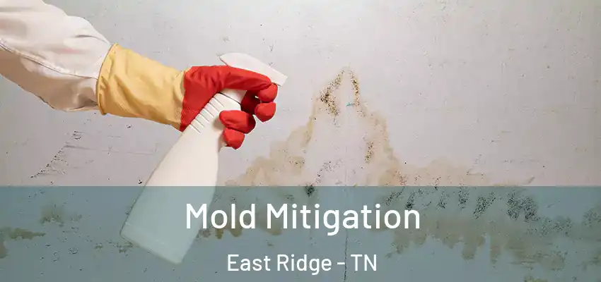  Mold Mitigation East Ridge - TN