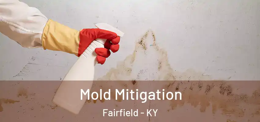  Mold Mitigation Fairfield - KY